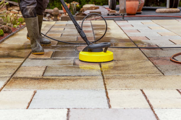 Animal Enclosure Cleaning in Farwell, TX